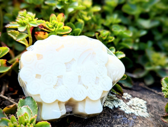 Lanolin Rich Woolie Bar