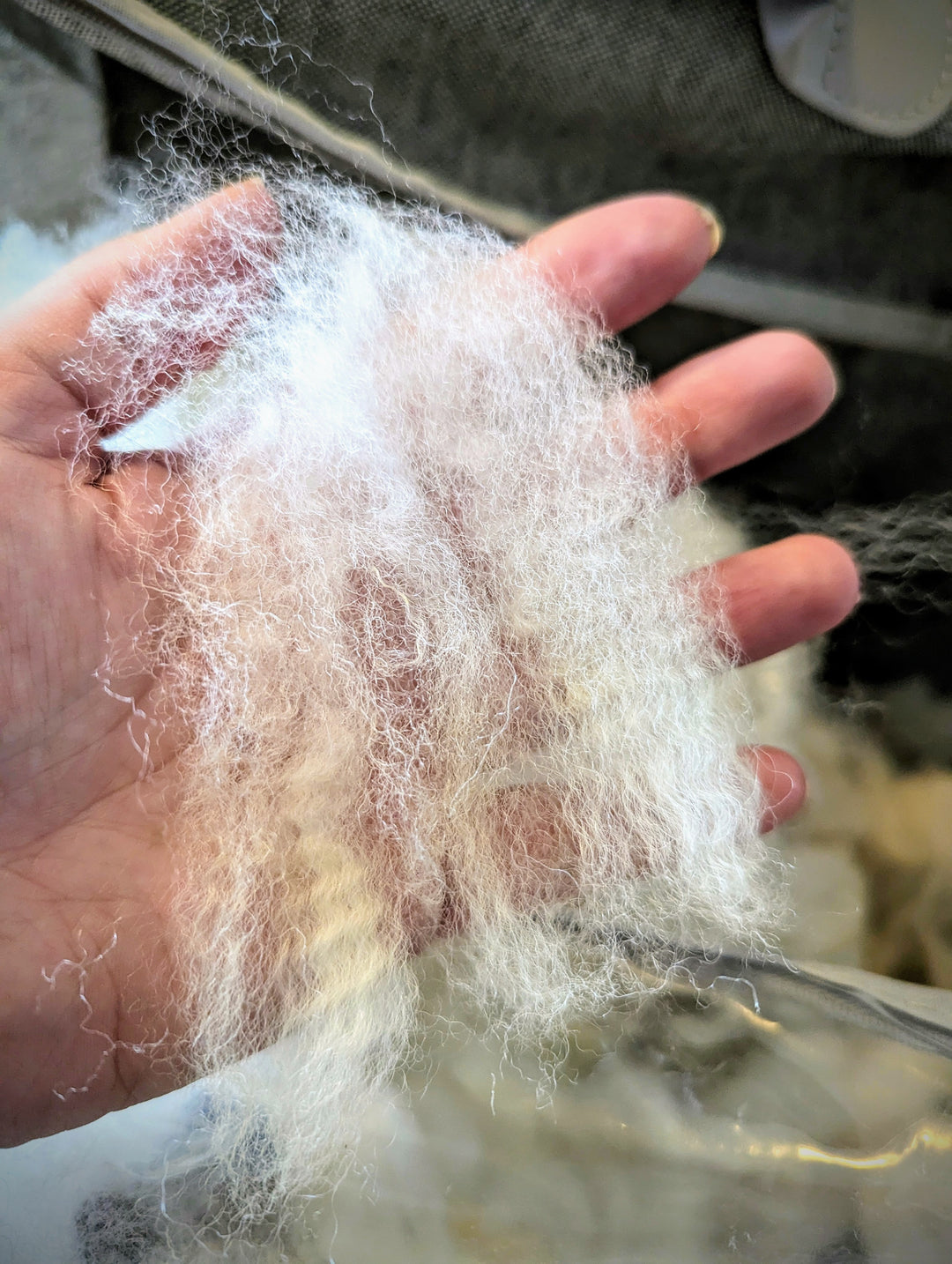 Corriedale Roving | White/Cream | 1oz Wool