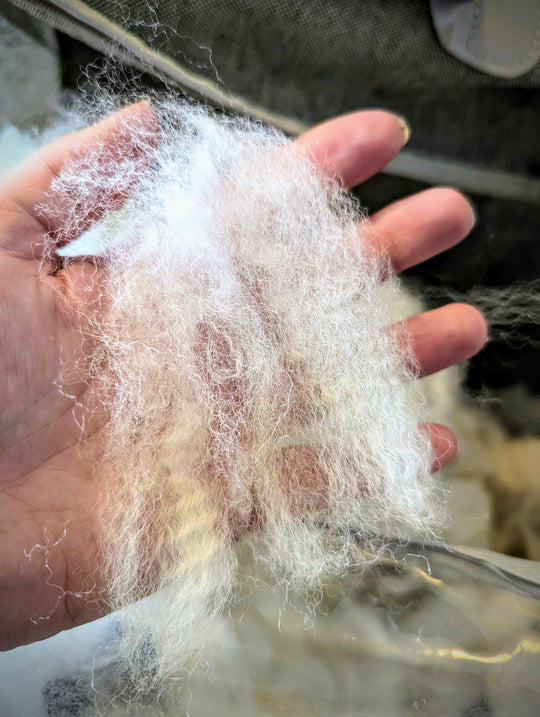 Corriedale Roving | White/Cream | 1oz Wool