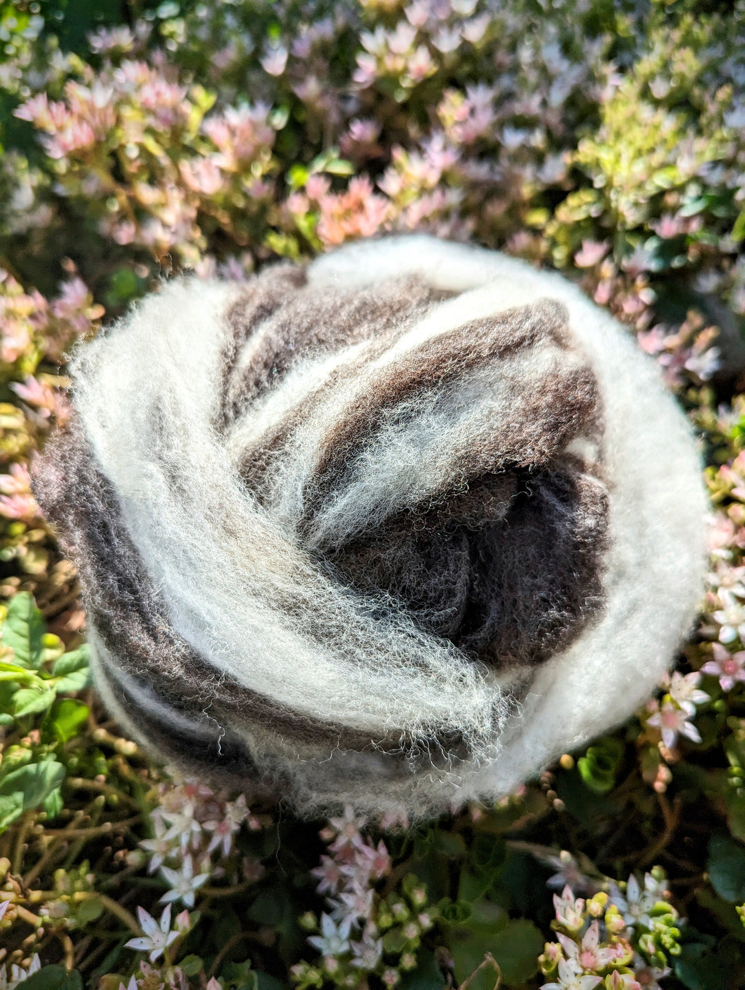 Corriedale Roving | Mix Deep Brown/White/Cream | 1oz Wool
