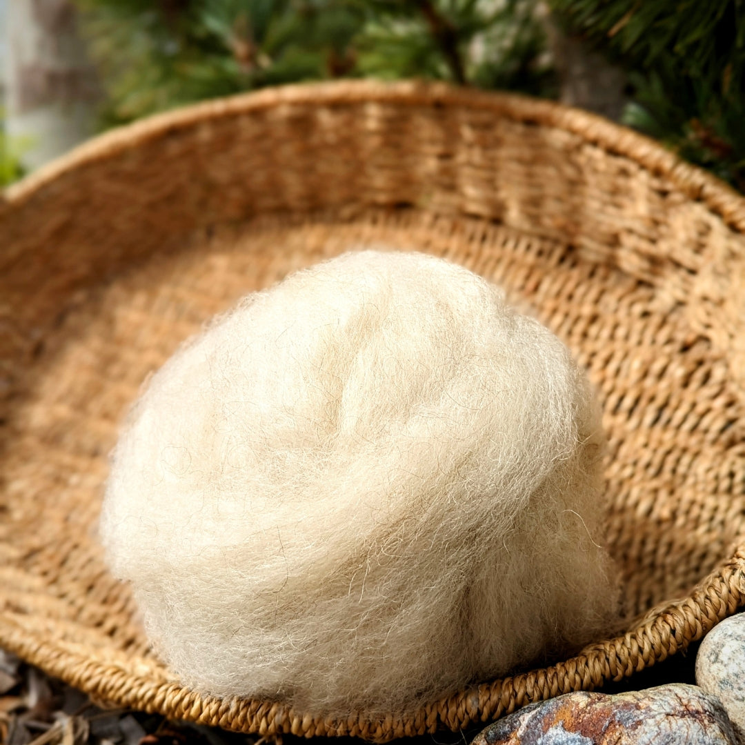 Shetland Roving | Natural White/Cream | 1oz Wool