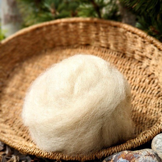 Shetland Roving | Natural White/Cream | 1oz Wool