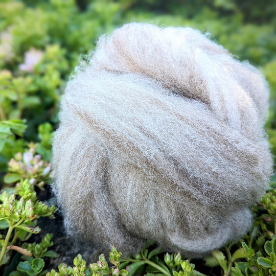 Bond Roving | Natural Cream | 2oz Roving-Ball