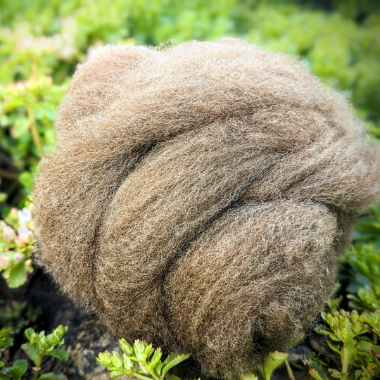 Bond Roving | Natural Moorit | 2oz Roving-Ball