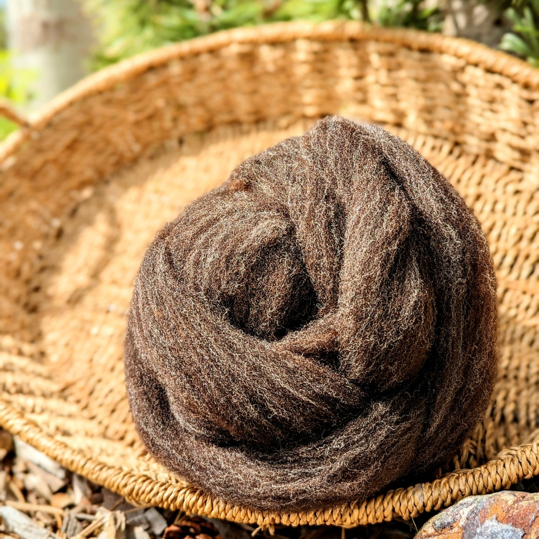 Corriedale Roving | Dark Chocolate Brown/Black | 1oz Wool