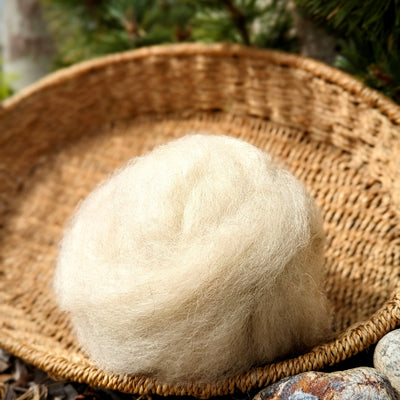 Shetland Roving | Natural White/Cream | 1oz Wool